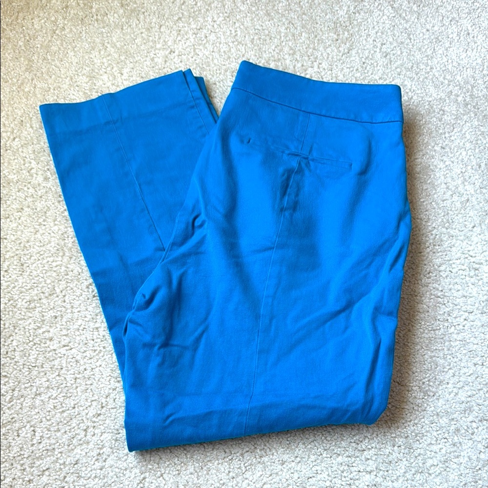 J. Crew Teal Blue Ankle Cropped Pants